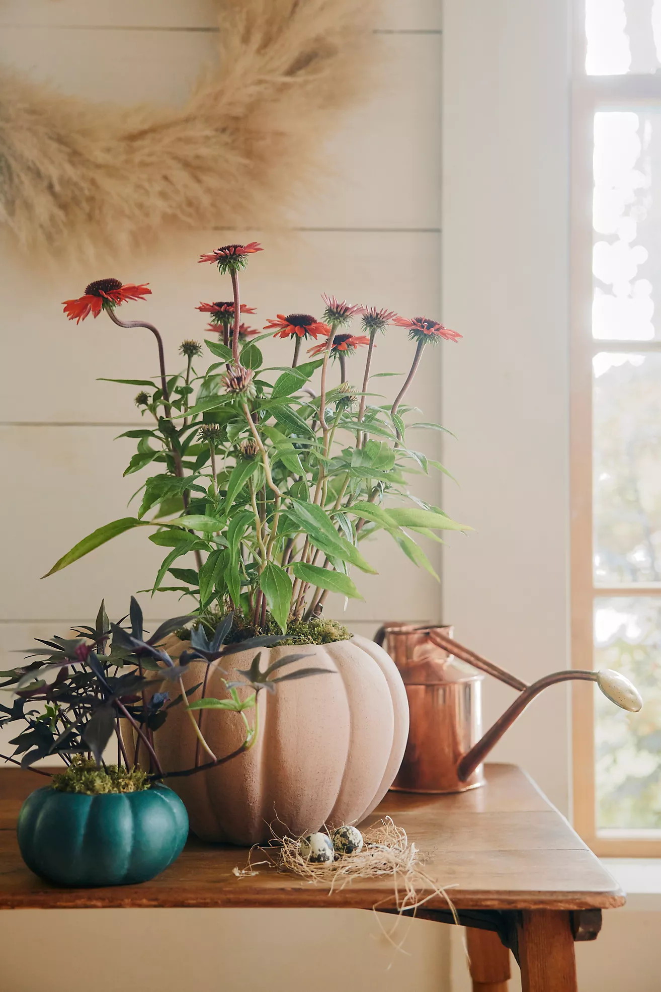 Ceramic Pumpkin Planter | Anthropologie (US)