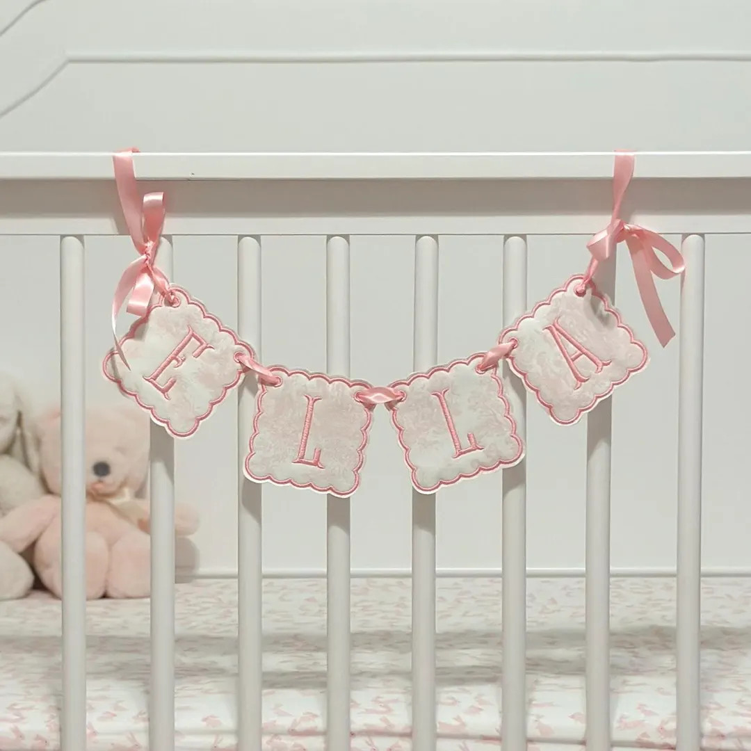 Personalized Pink Toile Name Banner – Baby Girl Name Garland for Nursery, Crib, or Baby Shower ... | Etsy (US)