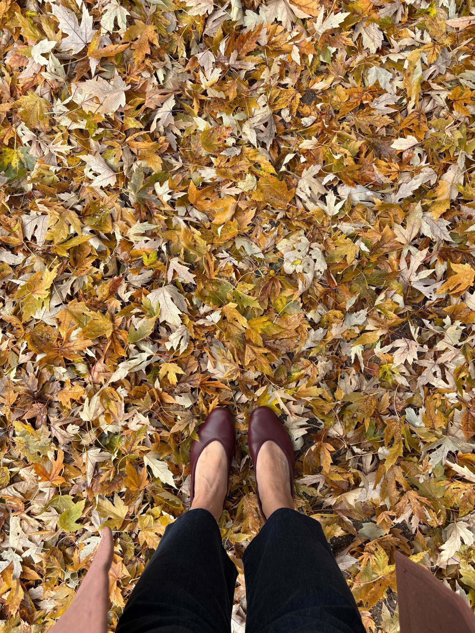 My favorite fall flats  

#LTKSeasonal #LTKootd