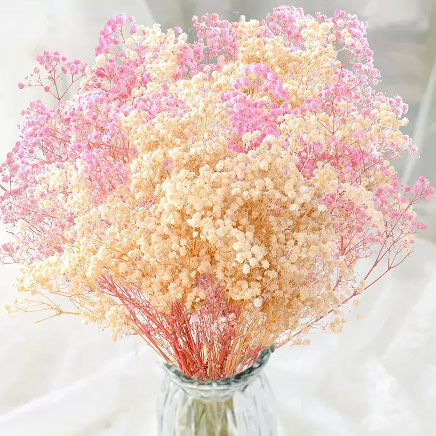 2000+ Dried Pink White Babys Breath Flowers -17'' Baby's Breath Bulk Bouquet, Real Natural Dried ... | Amazon (US)