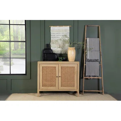Ernie 2 - Door Accent Cabinet | Wayfair North America