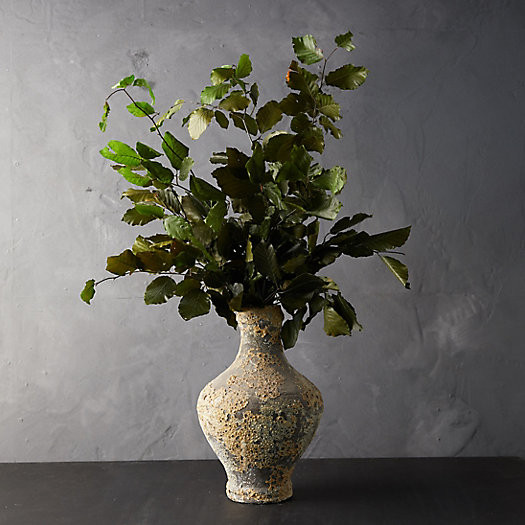 Preserved Beech Leaf Bunch | Terrain