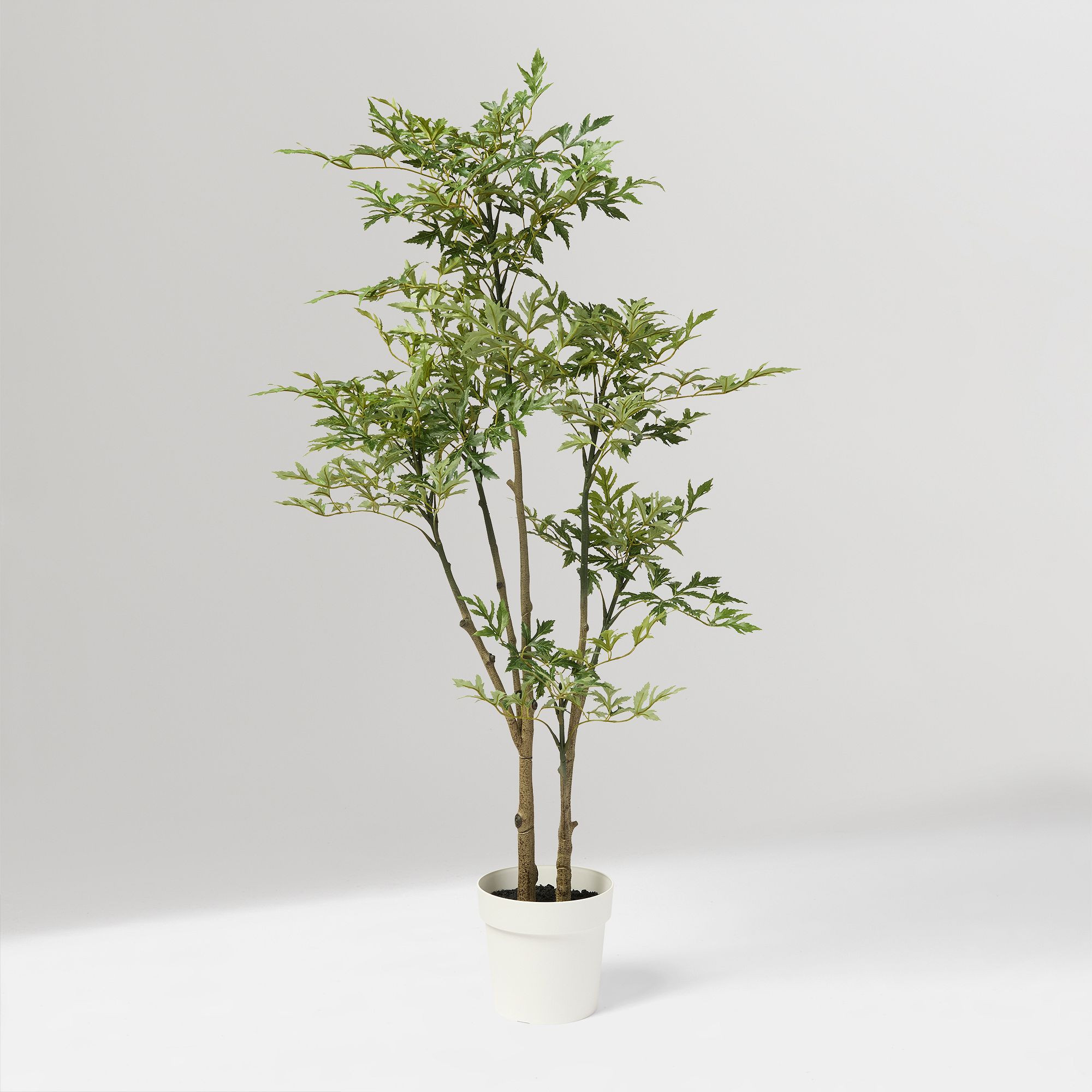 Faux Potted Phoenix Tree | West Elm (US)