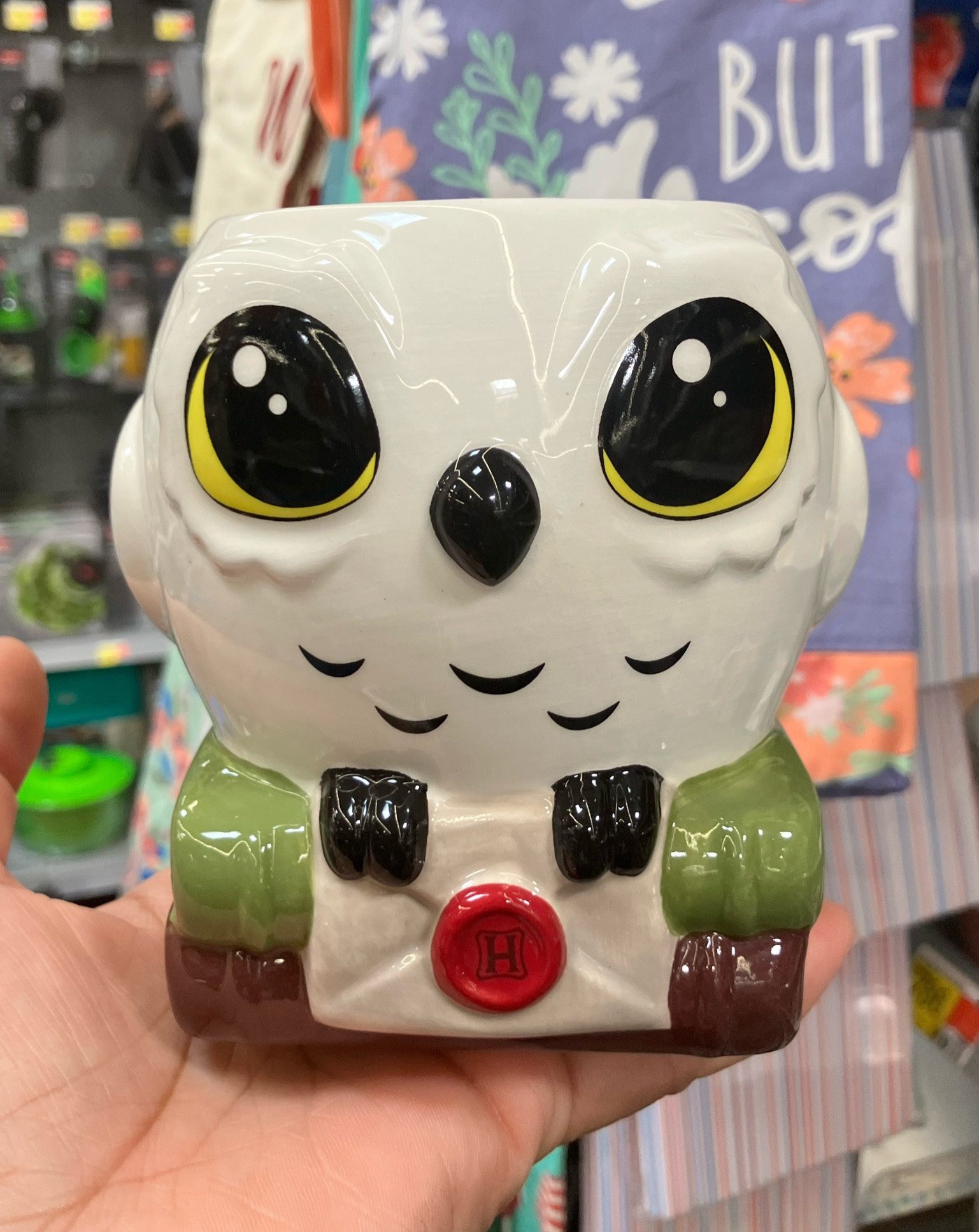 🍎 The most adorable Hedgwig mug #harrypotter #hedgwig #mugcollection 

#LTKHome