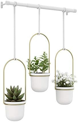 Umbra 1011748-524 Triflora Hanging Planters for Indoor Plants or Herbs, White/Brass,42" Width | Amazon (US)
