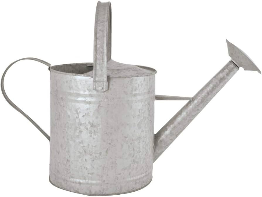 Esschert Design OZ44 Zinc Watering Can, Medium | Amazon (US)