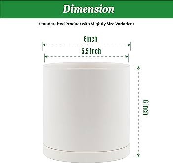 Grow Margo 6 Inch Plant Pot White Ceramic Planter Pots for Indoor Plants with Drainage Hole and S... | Amazon (US)