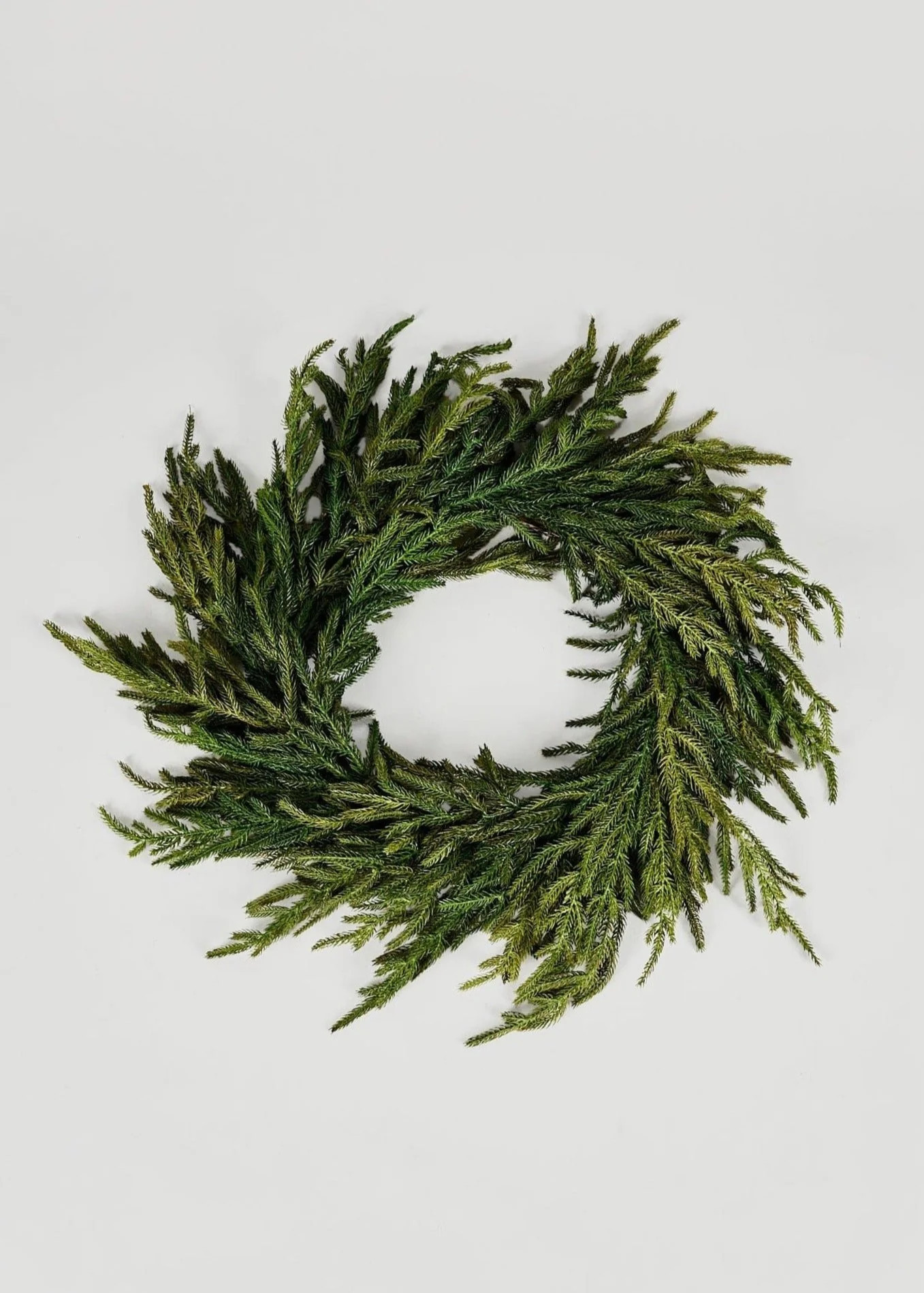 Afloral™ Real Touch Norfolk Pine Wreath - 24 | Afloral