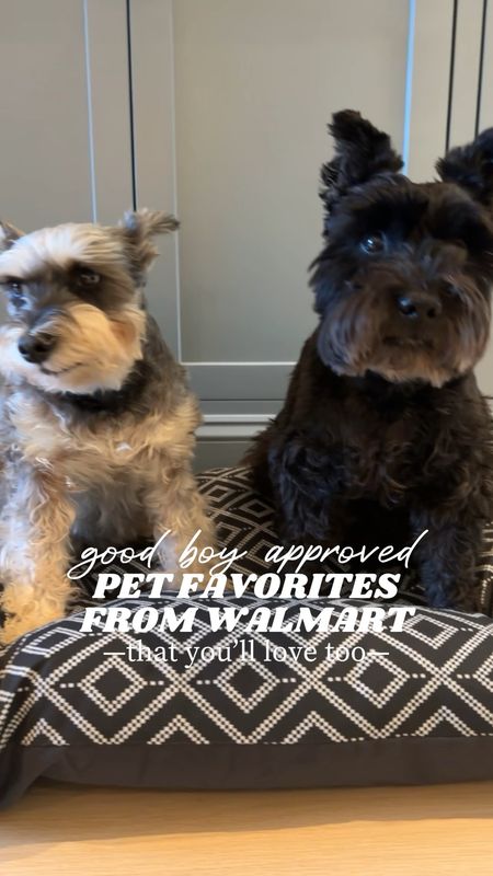 Pet favorites from
@walmart! Sharing a few of the new things we picked up for our pups Brunswick and Miso this summer. #walmartpartner #walmartpet #walmart

#LTKFamily #LTKHome #LTKFindsUnder50