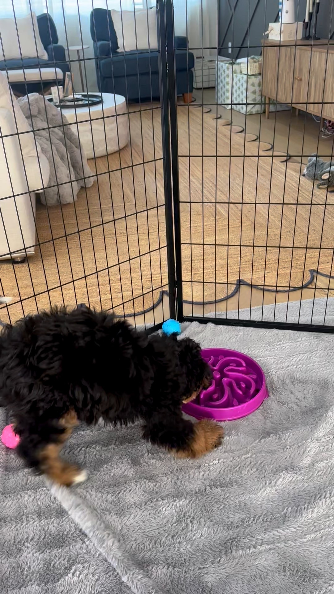 Outward Hound Fun Feeder Slo Bowl – Large 4‑Cup Capacity, Slow Feeding, Medium to Large Dogs, Non‑Slip, Purple, Flower Pattern

#LTKmomlife #LTKHome #LTKFindsUnder50