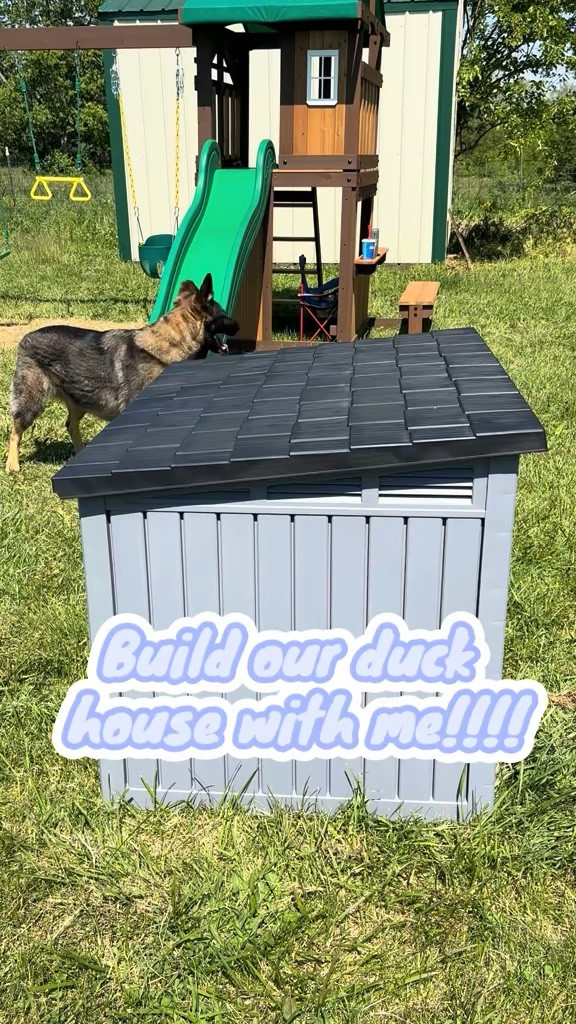 Duckies got an upgrade from their kiddie pool to the pond!

#LTKdayinmylife #LTKootd #LTKHome