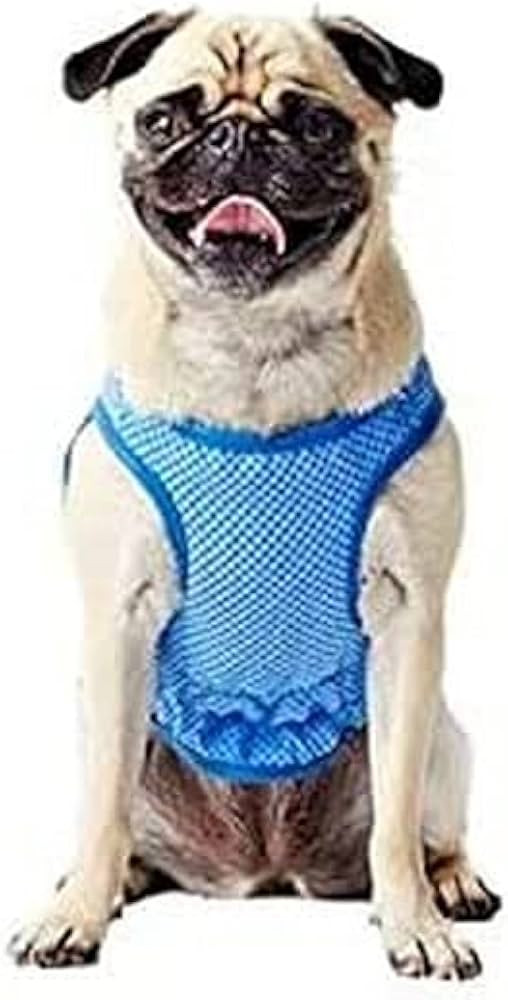 GF Pet 79g68542 Elastofit Cooling Vest, M, 160 g | Amazon (US)