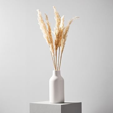 Dried Hardy Pampas Grass | West Elm (US)