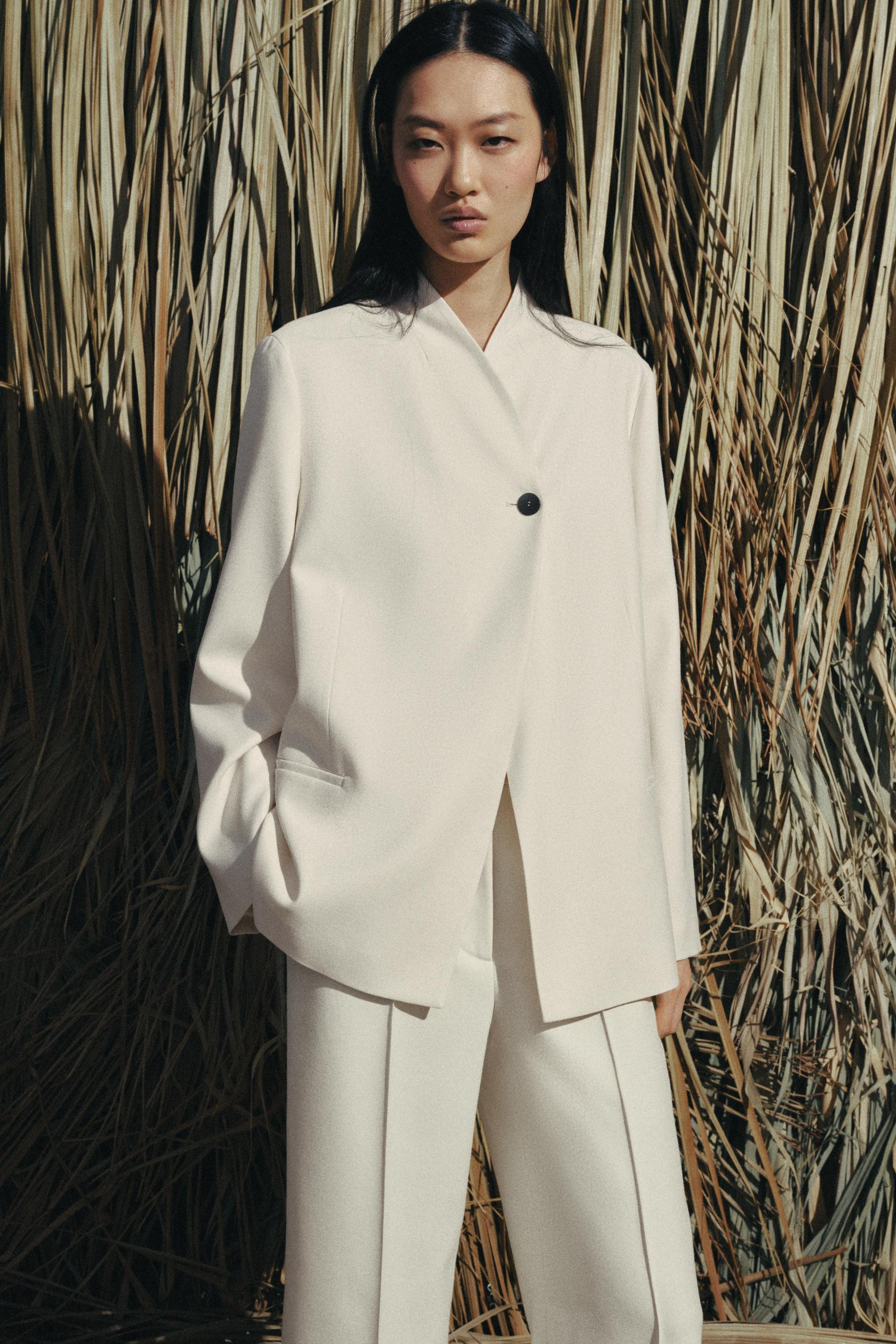 DOPPELREIHIGER BLAZER ZW COLLECTION | Zara DE