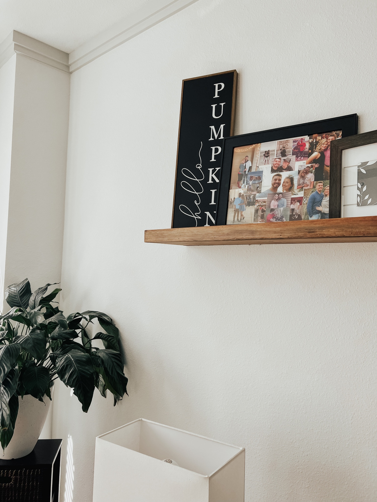Couldn’t link it directly, but here’s the link because this one is just too cute not to share!

Matches our living room vibe perfectly ✨🍂

Linking some other modern fall decor too 🫶

https://www.hobbylobby.com/Fall-Thanksgiving/Decorations/Wall-Decor/Hello-Pumpkin-Wood-Wall-Decor/p/81034117

#LTKSeasonal #LTKHalloween #LTKhome