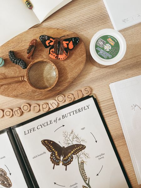 Butterfly nature study homeschool lesson