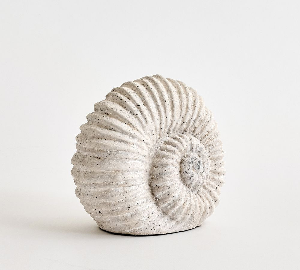 Decorative Spiral Shell | Pottery Barn (US)