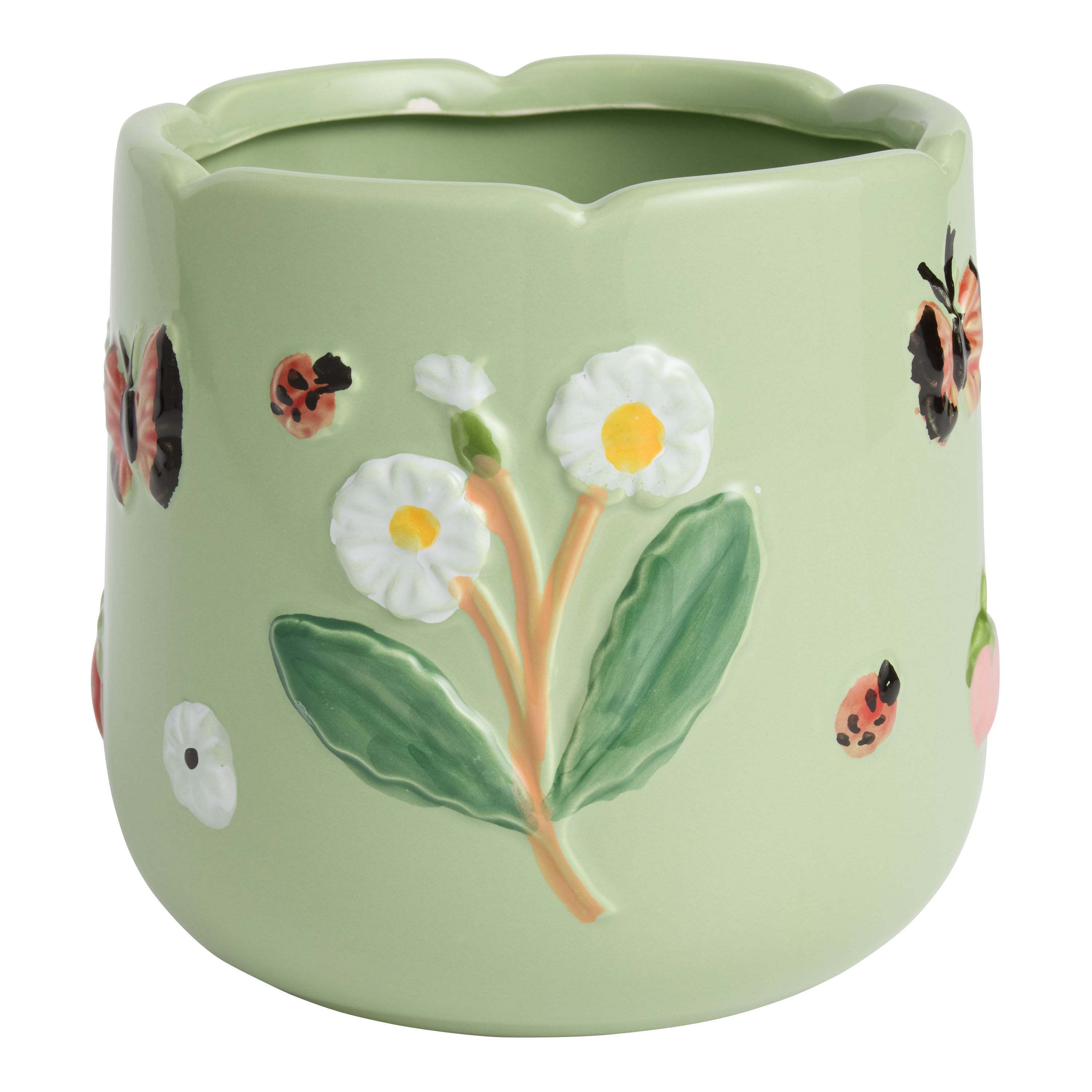 Green Ceramic Botanicals and Bugs Planter - World Market | World Market