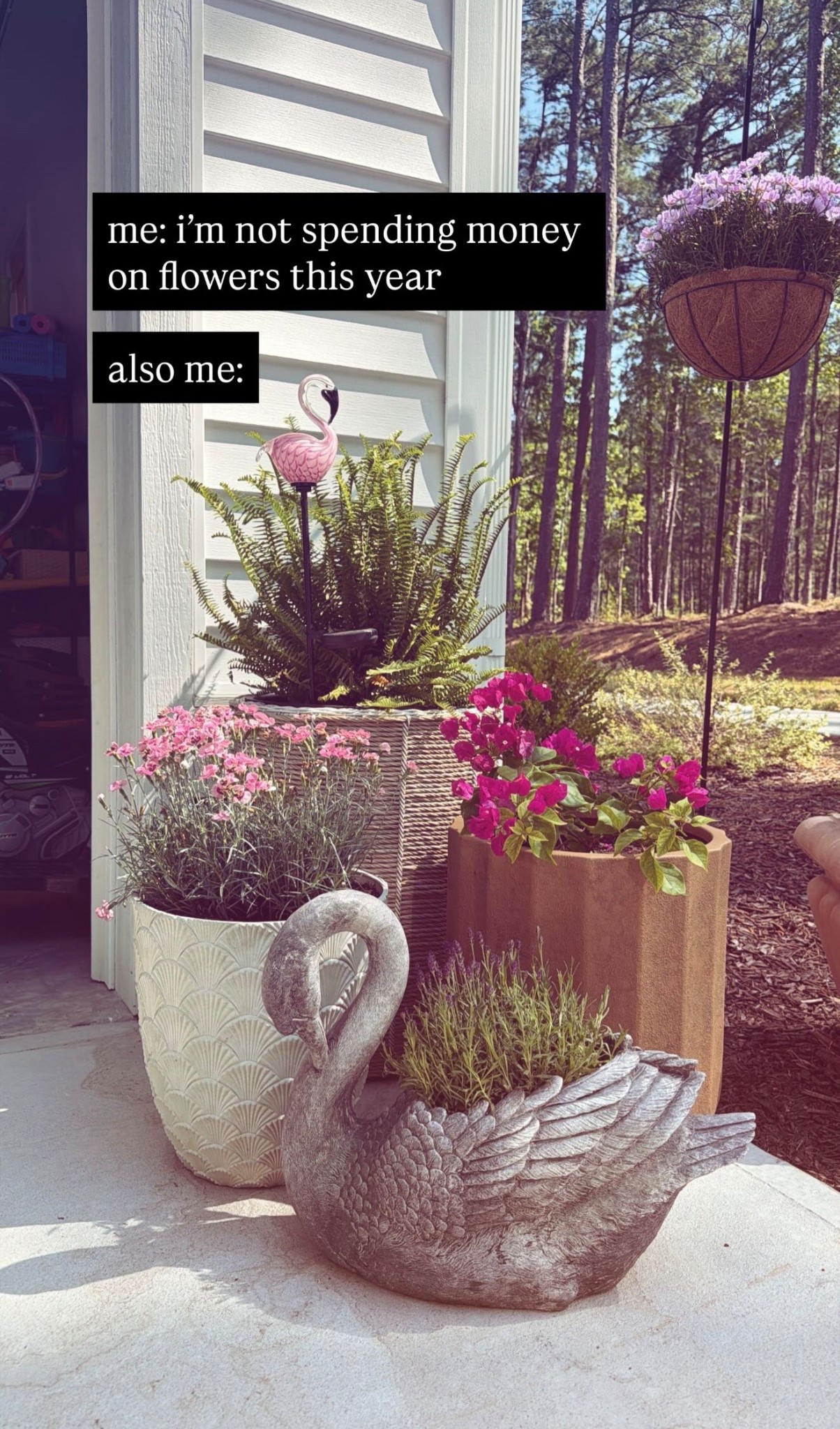 My planters from Walmart 🌿

I found the swan planter & large basket at Home Goods!

#LTKSaleAlert #LTKHome #LTKSeasonal