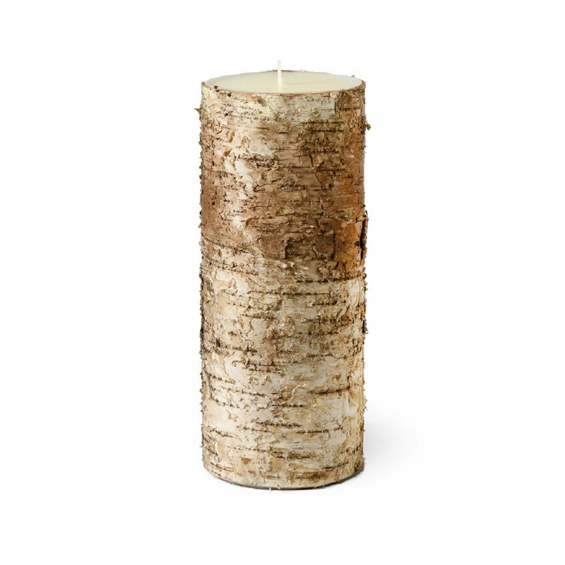 Loon Peak® Birch Bark Unscented Pillar Candle & Reviews | Wayfair | Wayfair North America