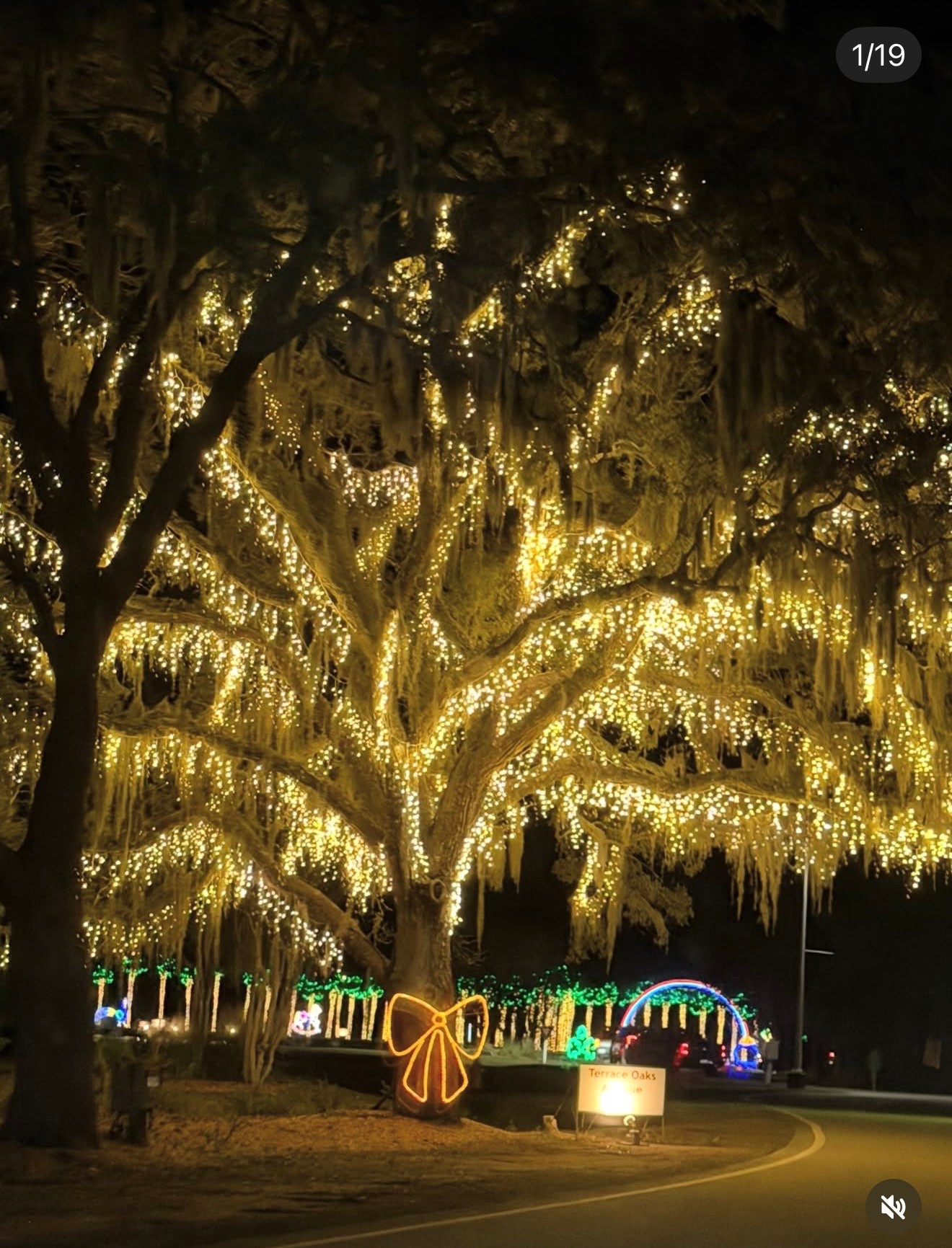 Magical tree & Lights! #fyp #holidays #tree 
#Lights #charleston #beautiful #love #happy 

#LTKHoliday #LTKHome #LTKSeasonal
