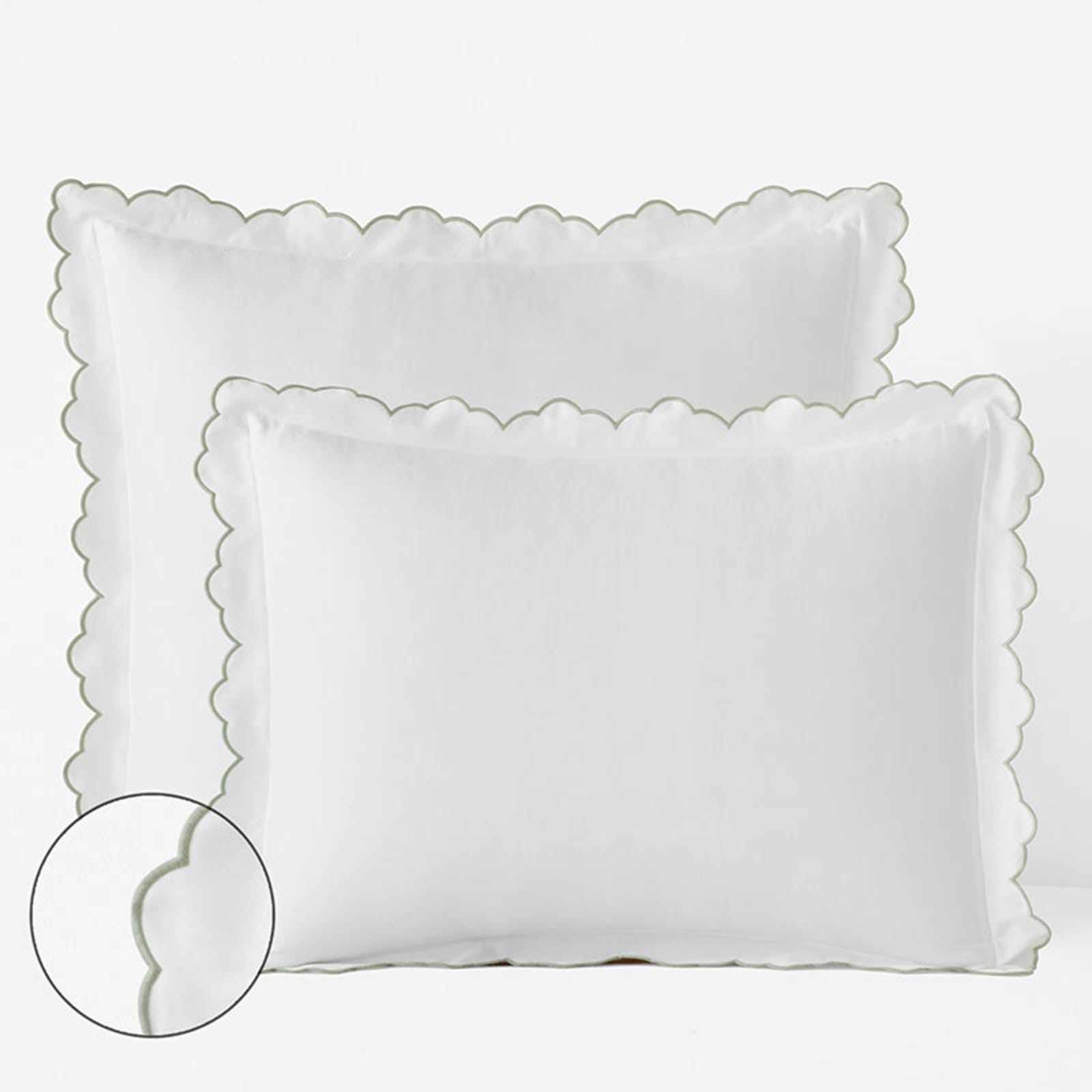 Embroidered Scallop Classic Smooth Sateen Solid Sham - Light Sage, Euro | The Company Store