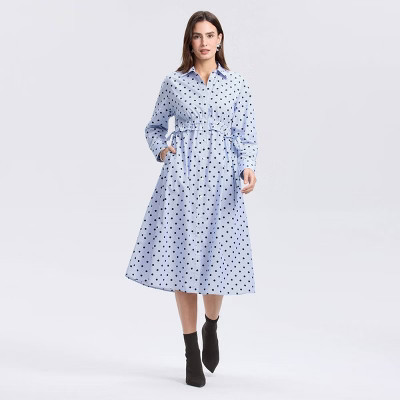 Women's Long Sleeve Midi Shirtdress - A New Day™ Blue Striped/Dots S | Target
