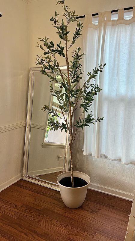 New realistic olive tree! #olivetree #fakeolivetree #homedecor #fakeplants #simpledecor #sale #amazonsale #homeoffice 

#LTKsalealert #LTKhome #LTKfindsunder100