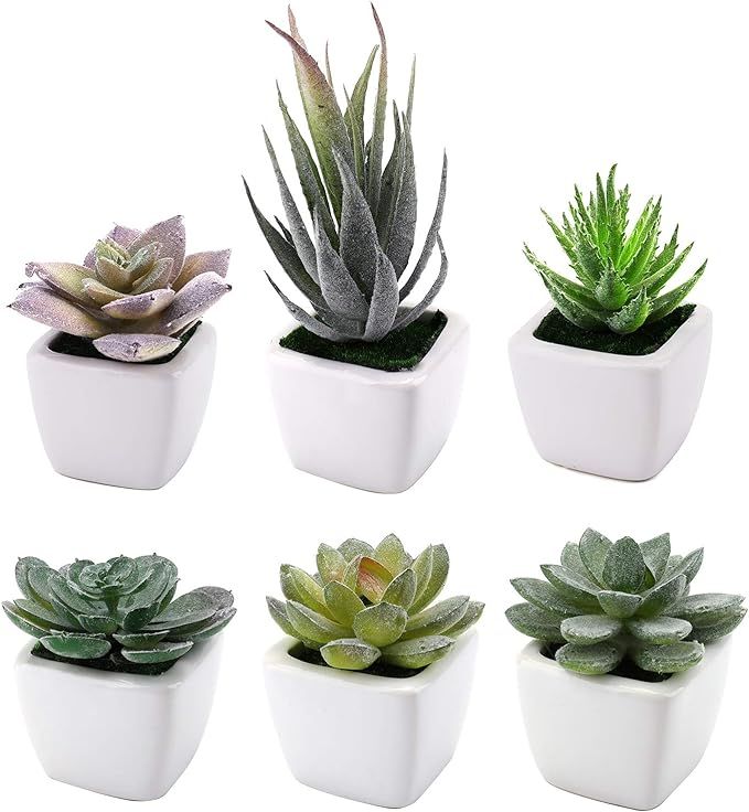 Suwimut Set of 6 Artificial Succulent Plants, Small Green Fake Potted Plants in Square White Cera... | Amazon (US)