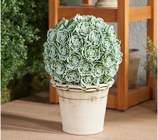 Wicker Park 11" Succulent Indoor/Outdoor Garden Sphere - QVC.com | QVC