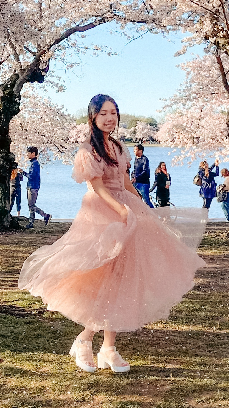 slim fit dress slacks Cherry Blossom