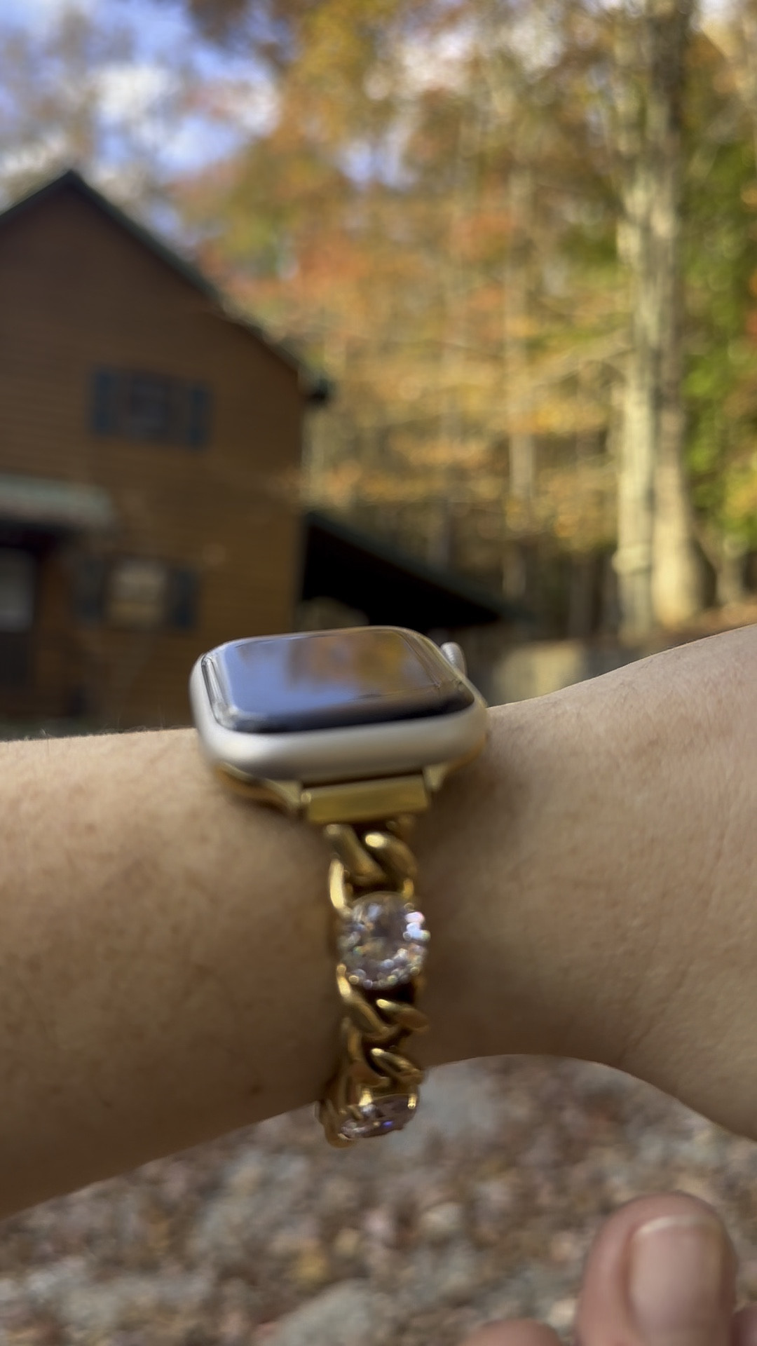 Some of my favorite watch bands to accessorize with for my Apple Watch that make for excellent Christmas or birthday gifts.

#LTKGiftGuide #LTKHoliday #LTKFindsUnder50