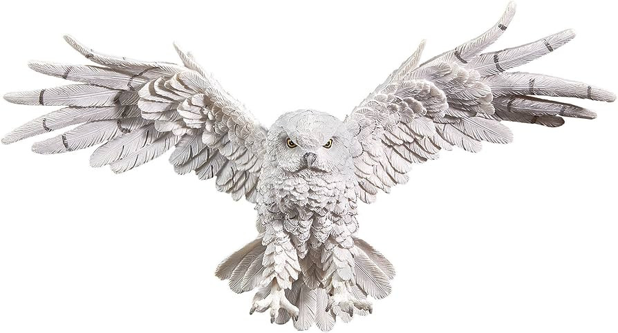 Design Toscano JQ9623 Mystical Snowy Owl Indoor/Outdoor Wall Frieze Sculpture, Medium, 19 inches ... | Amazon (US)