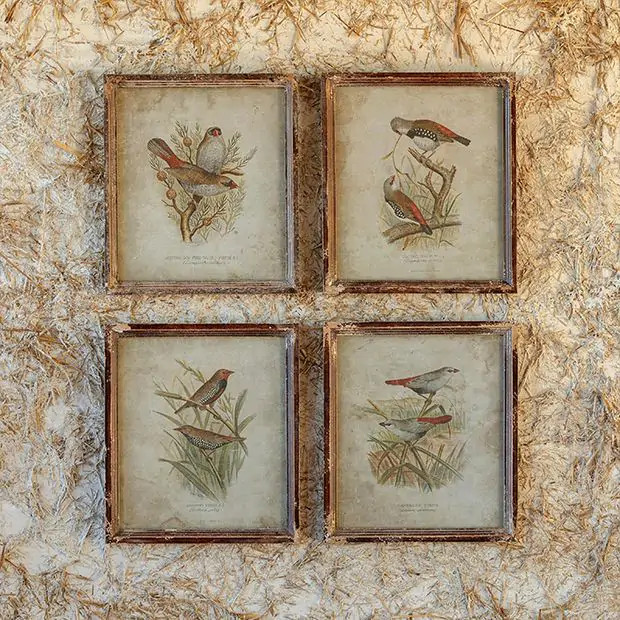 Field Birds Framed Print Set of 4 | Antique Farm House