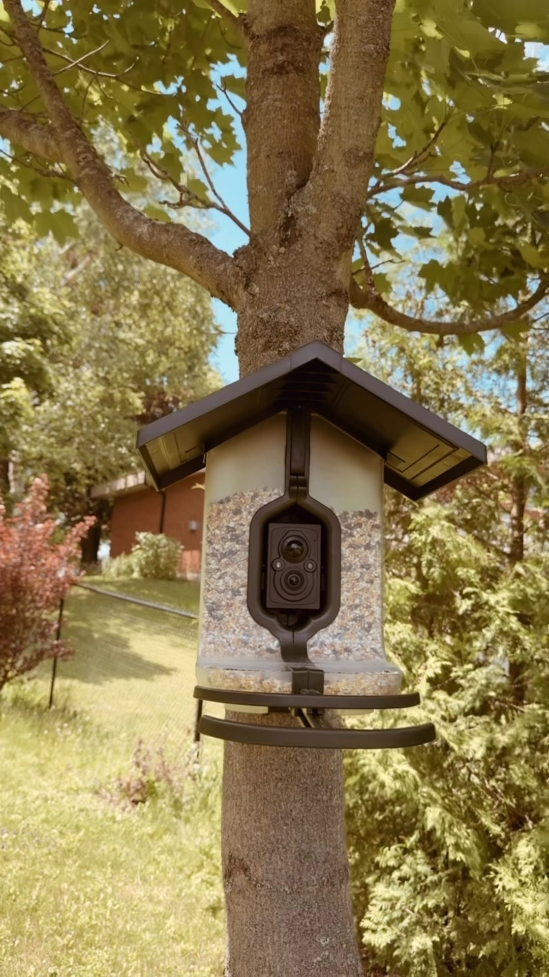 Bird feeder
Trending
Spring finds
Bird watching 

#LTKSaleAlert #LTKSpringSale #LTKHome