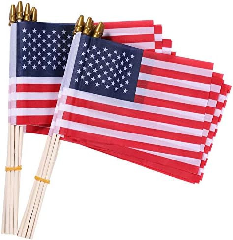 Small American Flags-12 Pack, 4x6 Inch Small American Flags on Stick, Handheld American Flag/US F... | Amazon (US)