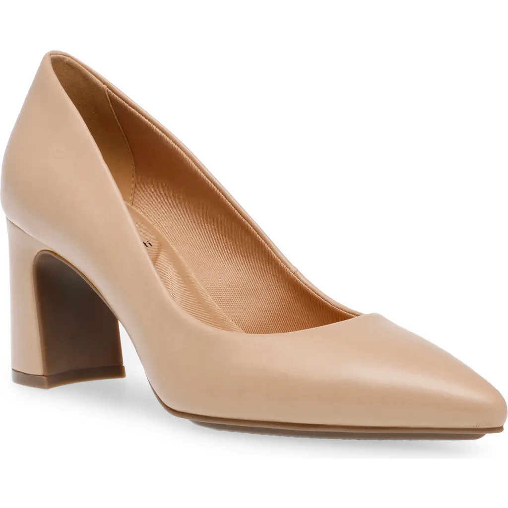 Anne Klein Benedette Pointed Toe Pump in Nude at Nordstrom, Size 8.5 | Nordstrom