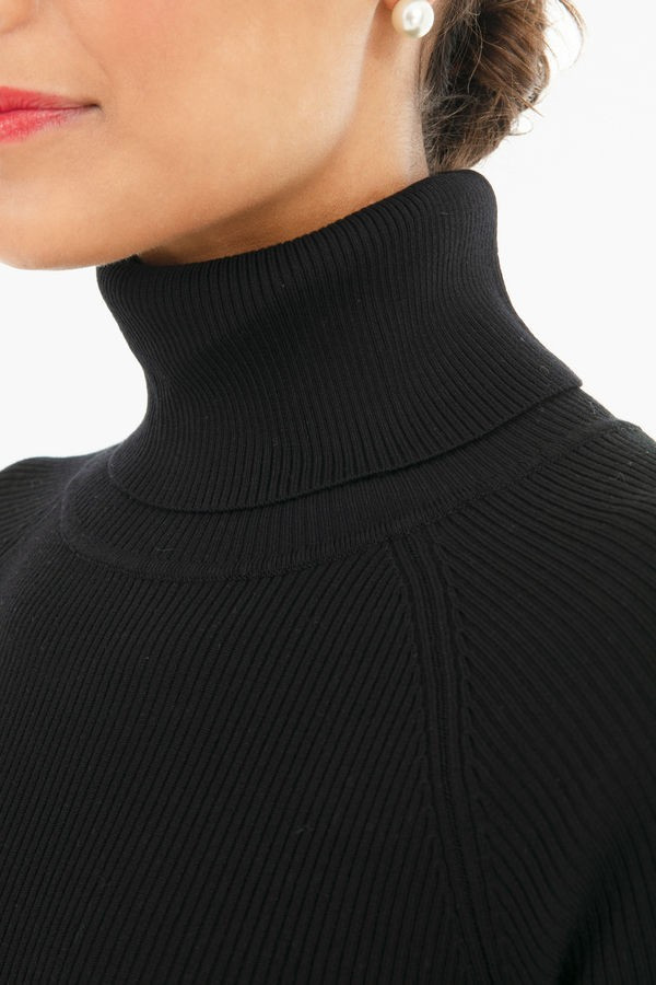 Black Sonia Ribbed Turtleneck | Tuckernuck (US)