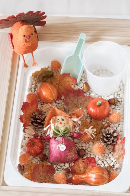 This year’s seasonal sensory bin for our #LTKtoddler ! We used dry lima beans for the filler and Sophie has absolutely loved scooping them + sorting the leaves and acorns, respectively. The scarecrow is almost a decade old, but I linked some similar options.
*Note: I will warn that the paint on the gourds rubbed right off onto my daughter’s hands so we ended up discarding them, but the leaves and acorns were just the right amount for this bin activity. Purchase at your own risk!

#LTKkids #LTKSeasonal