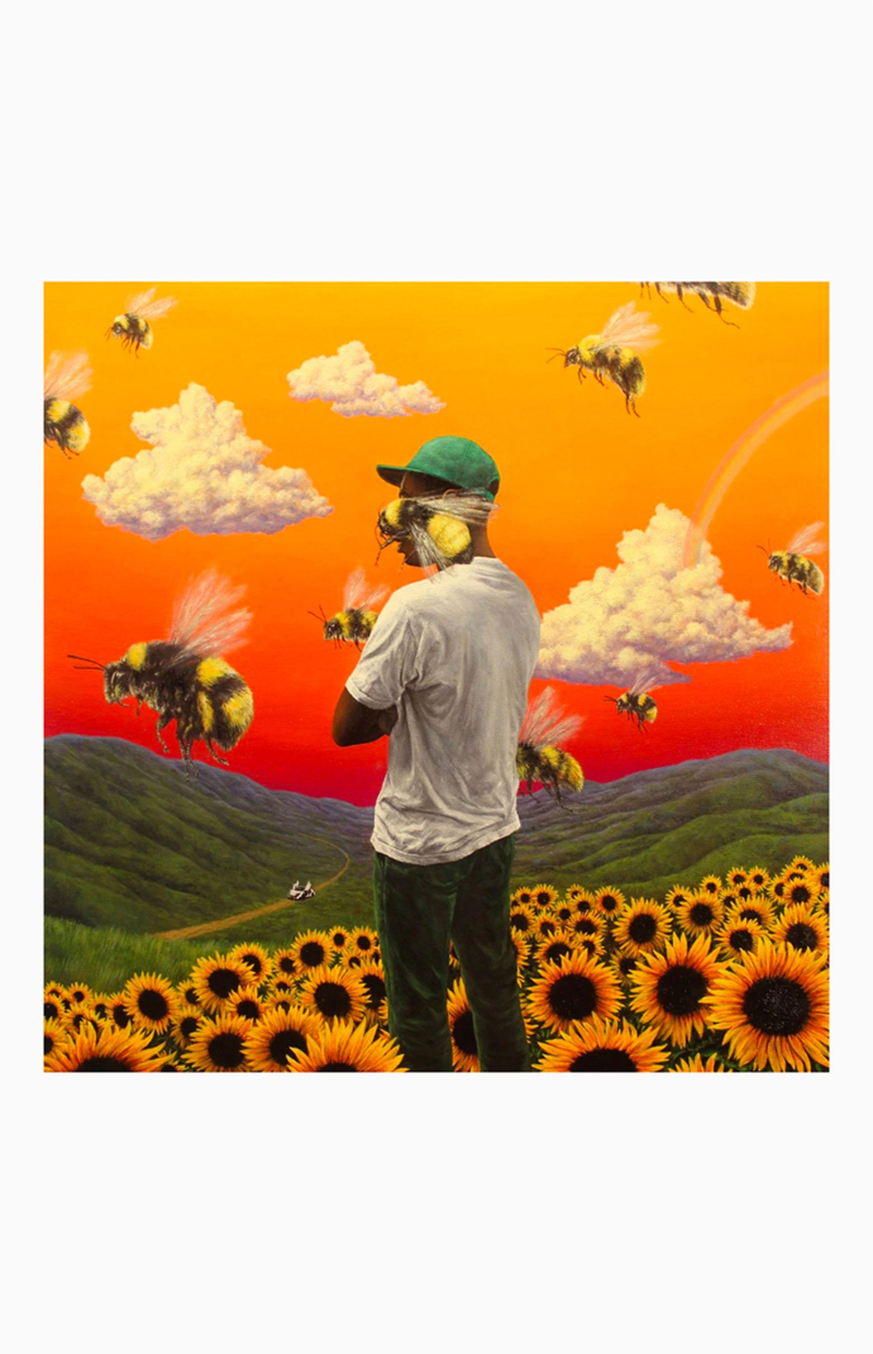 Tyler The Creator - Flower Boy Vinyl Record | PacSun