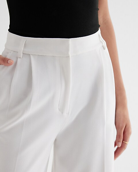 Stylist Super High Waisted Pleated Wide Leg Pant | Express
