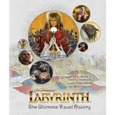 Labyrinth - by  Paula M Block & Terry J Erdmann (Hardcover) | Target