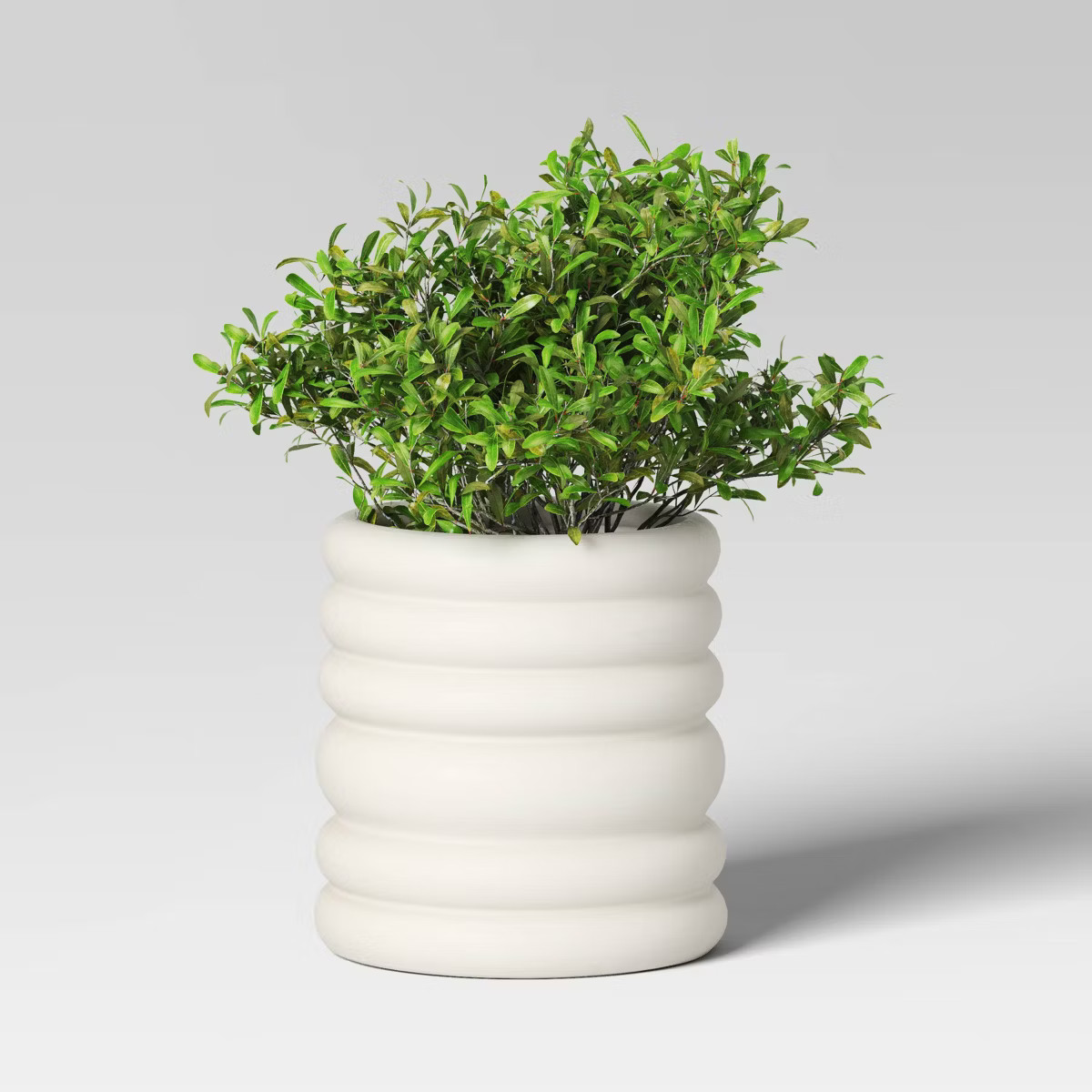Banded Earthenware Indoor Outdoor Planter Pot - Threshold™ | Target