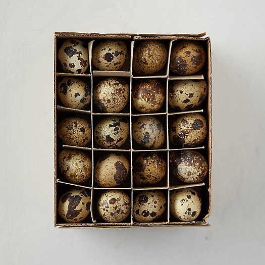 Quail Eggs, Set of 60 | Terrain