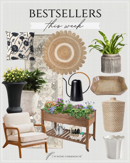 Bestsellers This Week

Summer finds are still reigning supreme!  It’s never too late to add a finishing touch to those patios

Seasonal, home decor, rugs, outdoor, accent chairs, wastebasket, watering can, vases, pillows, runners

#LTKSeasonal #LTKHome #LTKFindsUnder50