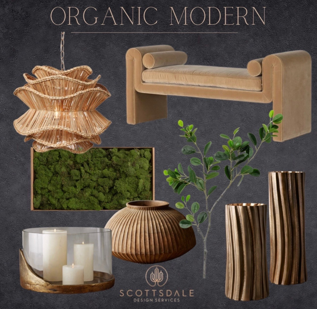 Organic Modern home finds🌱

#LTKHome