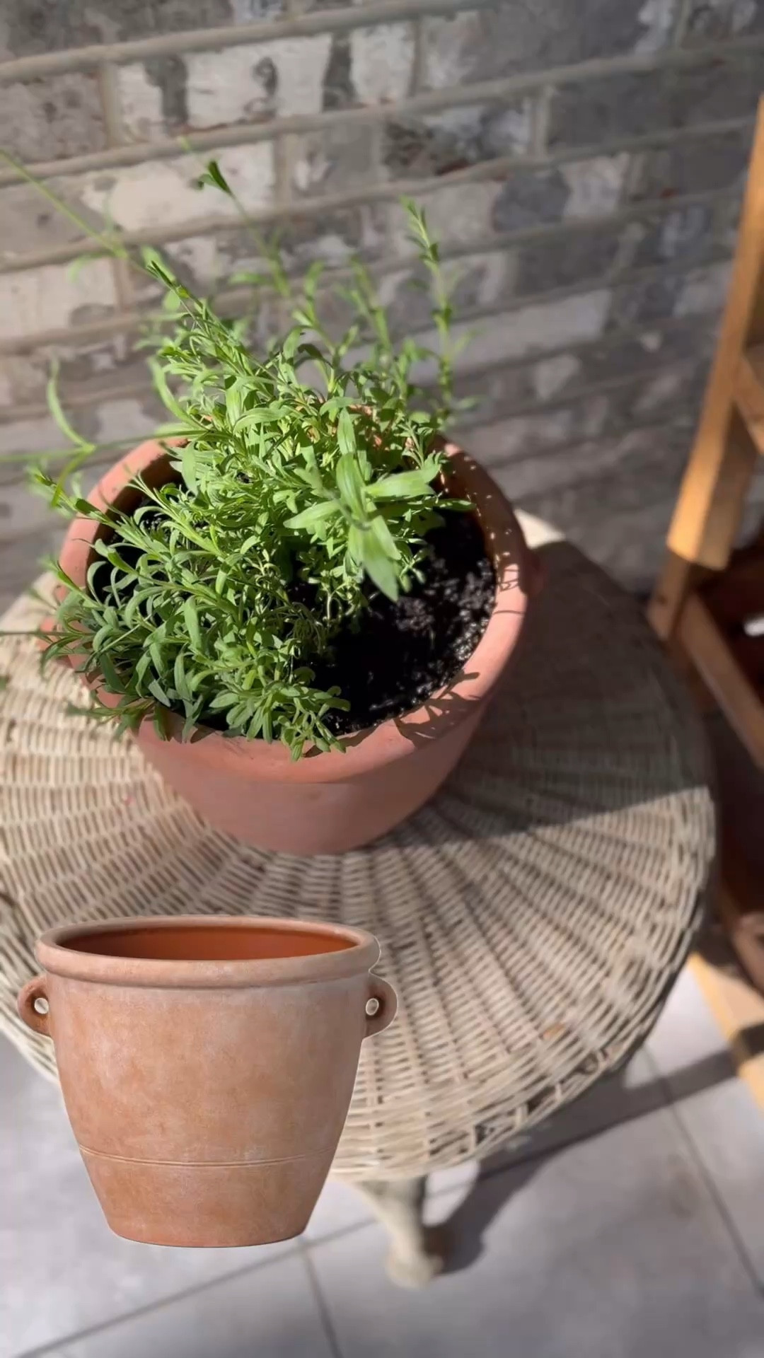 The prettiest planter. Love the organic feel of it. Throw some real lavender in it!

#LTKSpringSale #LTKSeasonal #LTKHome