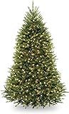 National Tree Company Pre-Lit Artificial Full Christmas Tree, Green, White Lights, Includes Stand... | Amazon (US)