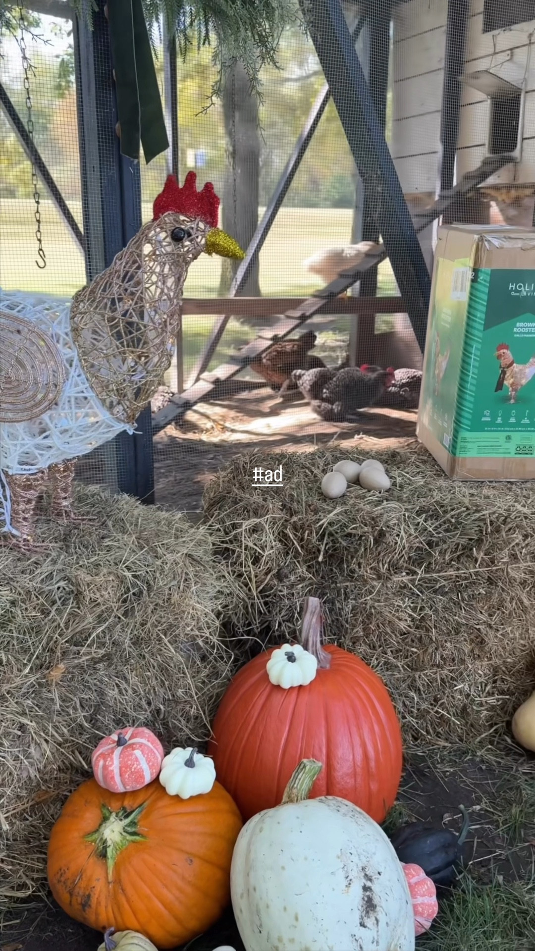 #ad #LowesPartner Check out these COOP-tastic LED Chickens exclusively at Lowe’s! They easily transition from fall to winter decor making them the perfect item to decorate your farmyard, chicken coop or pumpkin patch for the holidays. The holiday scarf is removable meaning you can place them amongst your fall pumpkins, corn stalks and hay bales and simply add the scarf along with tress, pinecones and snow for winter.

@loweshomeimprovement


#LTKHome #LTKSeasonal #LTKPets