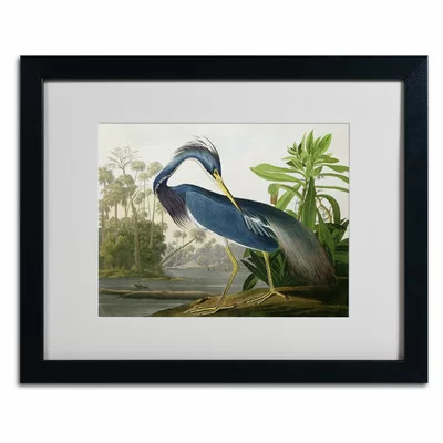 'Louisiana Heron' Picture Frame Print on Canvas | Wayfair North America